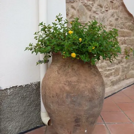 Maria Patti